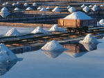 Saline di Sicciole