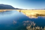 Lago di Cerknica